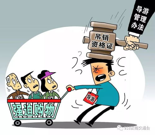 數(shù)字文創(chuàng)服務(wù)新規(guī)今起實(shí)施，車主必讀 五大要點(diǎn)全解析